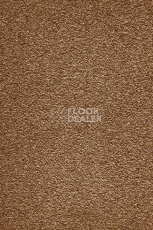 Ковролин AW Masquerade Moana 80 фото 1 | FLOORDEALER